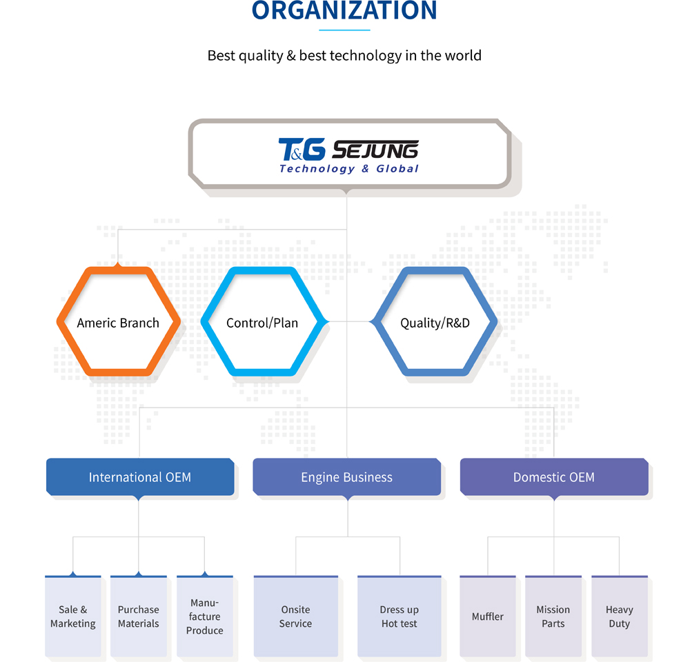 Organization